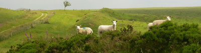 view of Offa's Dyke