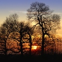 Winter Sunset Desktop / Wallpaper